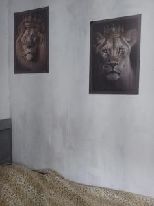 two pictures of tigers wearing crowns on a wall at Passeio de quadriciclo com hospedagem in Guapimirim +23 photos