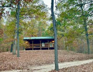 a house in the woods with trees at Trout Lily Cabin - Giant Spa tub & Peaceful Location in Eureka Springs