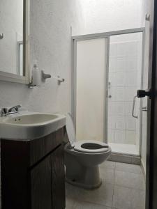 a bathroom with a toilet and a sink and a shower at Casa FLAMINGOS in Boca del Río +18 photos