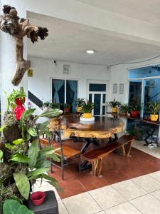 a dining room with a table and some potted plants at Casa Machtiani in Cedro