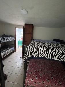 a zebra print bed in a room with a window at Casa Machtiani in Cedro