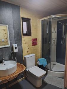 a bathroom with a toilet and a sink and a shower at Hostal Egaña 228 in Puerto Montt