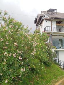 a bush with pink flowers in front of a building at Tranquil Edge Villa in Haputale