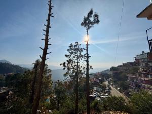 Blick auf eine Stadt mit zwei Bäumen auf einem Hügel in der Unterkunft PiNE&PEAK in Shimla