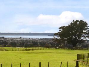 a field with a fence and a tree and water at 3 bedroom home Tranquil Views in Rotorua