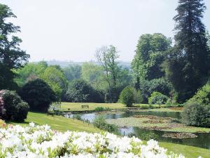 a garden with a pond with flowers in it at Rosecraddoc Manor - Natalie Jane in Saint Cleer +3 photos