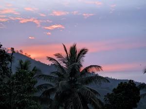 a palm tree with a sunset in the background at Mountain Breeze Villa & Ayurveda Spa in Ella