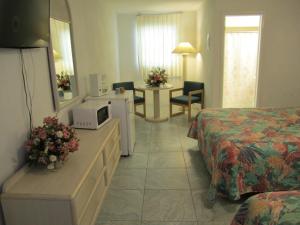 TV a/nebo společenská místnost v ubytování Apollo Motel