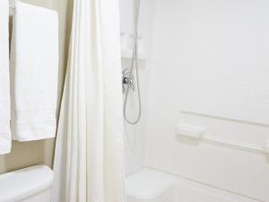 a bathroom with a shower curtain and a toilet at La Papaya in Marina di Pisa