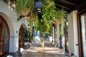 a corridor with potted plants hanging from the ceiling at FARM HOUSE in Roncade