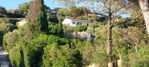 a house on the side of a hill with trees at CAP AZUR ILE du LEVANT in Île du Levant +9 photos