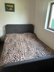 a bed in a room with a leopard print blanket at Hill's Peak in Cacica +22 photos