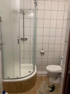 a bathroom with a shower and a toilet at Avtoport Restorant Hotel Complex in Vinnytsya +17 photos