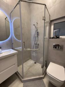 a bathroom with a shower with a toilet and a sink at Ala-Archa Mountain House in Vorontsovskoye +20 photos