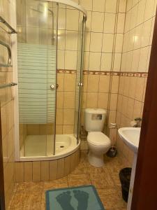 a bathroom with a shower and a toilet and a sink at Avtoport Restorant Hotel Complex in Vinnytsya