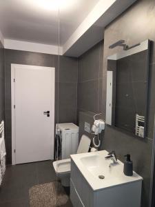 a bathroom with a sink and a toilet and a mirror at Twin Constantin-Apartment in Suceava +26 photos
