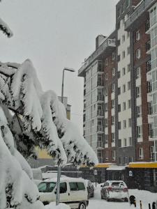 a snow covered tree with cars parked in a parking lot at Sunset apart in Kremenetsʼ