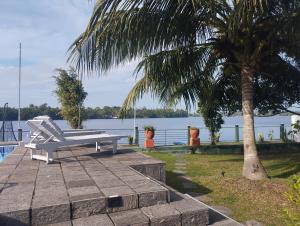 a bench sitting next to a palm tree next to the water at Lausanne villa in Dharga Town