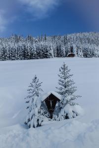 Fotografie z fotogalerie ubytování Gästepension Klammer v destinaci Kartitsch