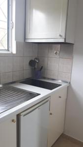 Kuchyň nebo kuchyňský kout v ubytování Green House