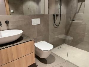 a bathroom with a toilet and a sink and a shower at The Mountain Nest in Russbach am Pass Gschütt +25 photos
