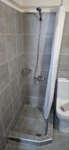 a bathroom with a shower with a toilet at The comfort 2 in Raches +9 photos