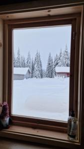 a window with a view of a snow covered yard at Webers Tiny House in Rentjärn