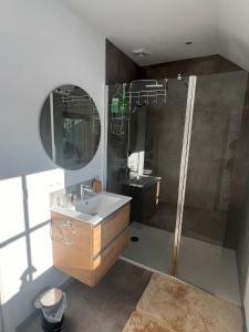 a bathroom with a shower and a sink and a mirror at Horse Lodge de Bélian in Hannut +4 photos