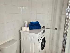 a bathroom with a washing machine and a toilet at Studio in peaceful village of São Martinho das Amoreiras in São Martinho das Amoreiras