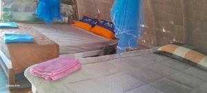 a room with two beds in a room with at Khao Sok Moon Light Hill Camp in Khao Sok National Park