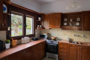 a kitchen with wooden cabinets and a stove and a window at Blue Dandelion in Paliouri