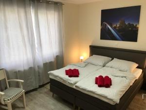a bedroom with a bed with two red pillows on it at Edith in Lenz +6 photos