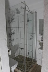 a bathroom with a shower and a toilet at Pension Schiffer in Blankenheim