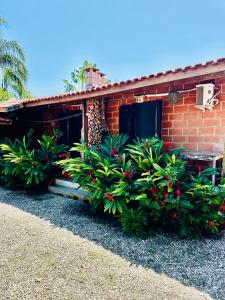 a brick house with plants in front of it at Ganesh Chalés in Boracéia