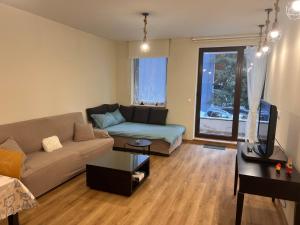 a living room with a couch and a table at Lyra Forest Apartment in Borovets +15 photos