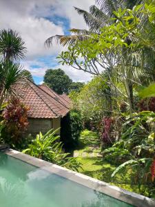 a swimming pool in front of a garden at Sang Fajar Ubud in Ubud