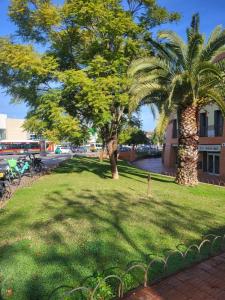 two palm trees in a grassy area with a building at Solo or Couple , Solo o Pareja in Seville