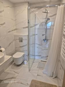 a bathroom with a shower and a toilet at Gościniec Chmielnicki in Chmielnik