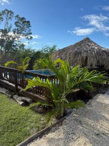 a resort with a thatched roof and some plants at Azteca Villas in Treasure Beach