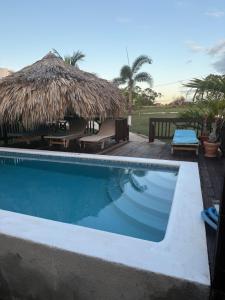 a resort swimming pool with a thatched hut at Azteca Villas in Treasure Beach