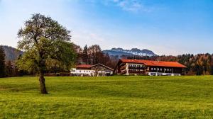 a tree in the middle of a field with a house at Hotel Seiserhof & Seiseralm in Bernau am Chiemsee