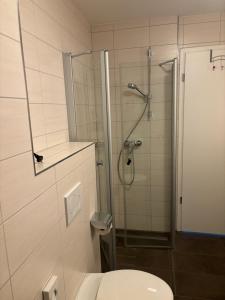 a bathroom with a toilet and a glass shower at Apartment 117 in Feldberg +24 photos