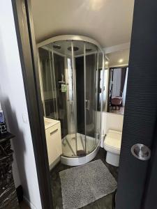 a bathroom with a shower and a toilet at Les Cariatides in Lille
