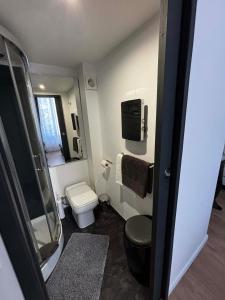a small bathroom with a toilet and a shower at Les Cariatides in Lille