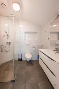 a bathroom with a shower and a toilet and a sink at Willa Anna in Jastarnia +36 photos