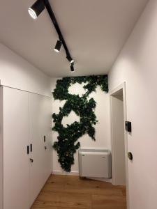 a room with a green plant on the wall at RotHaus Old Town Sibiu in Sibiu +38 photos