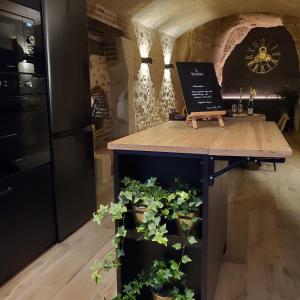 a kitchen with a counter with plants on it at Wine Not in Vernou-sur-Brenne +8 photos