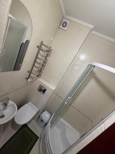 a bathroom with a shower and a toilet and a sink at Hotel palas tatariv in Tatariv