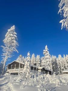 a house covered in snow with snow covered trees at Kätkä Lake Lodge in Tervola +29 photos