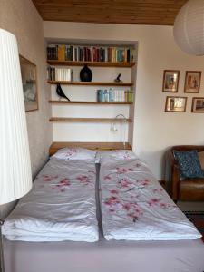 a bed in a room with a book shelf at Gemütliches Studio im Zentrum in Evolène